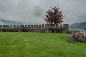 _WIE2061_HDR